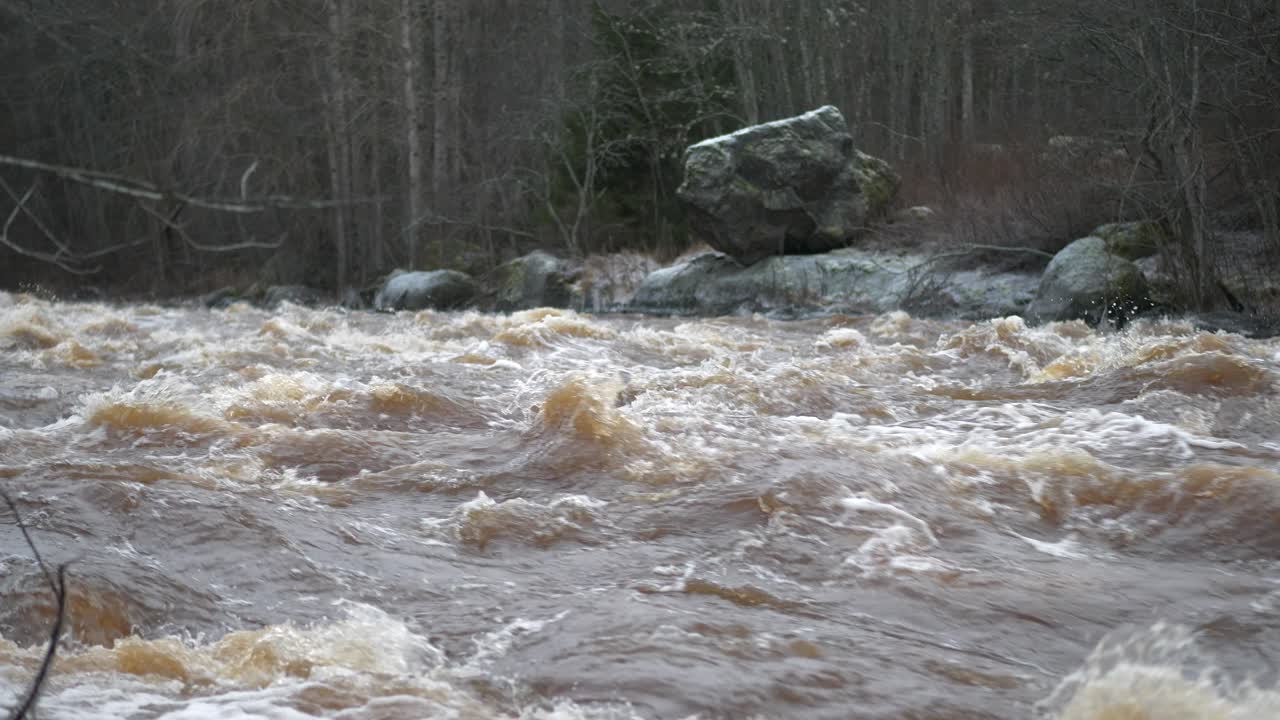 Static shot flooded river in forest, Slow motion, Northern Europe