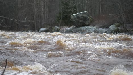 static shot flooded river in forest, slow motion, northern europe