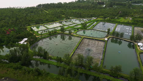 drone shot of fish ponds on the shores of khao lak beach, phuket, thailand