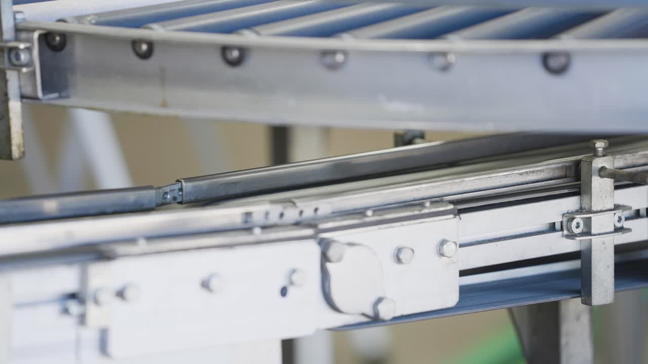 tomates recién cosechados en contenedores que se mueven a lo largo de la cinta transportadora