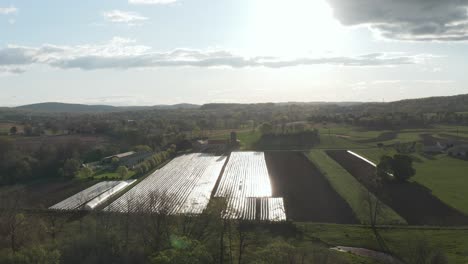 high aerial of vegetable farm plantation at sunrise