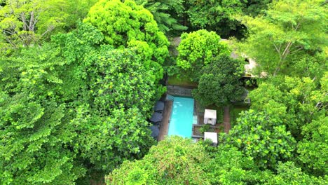 Vista-Circular-Desde-Una-Piscina-En-Un-Resort-En-Medio-Del-Bosque-En-Ilha-Do-Príncipe,-África