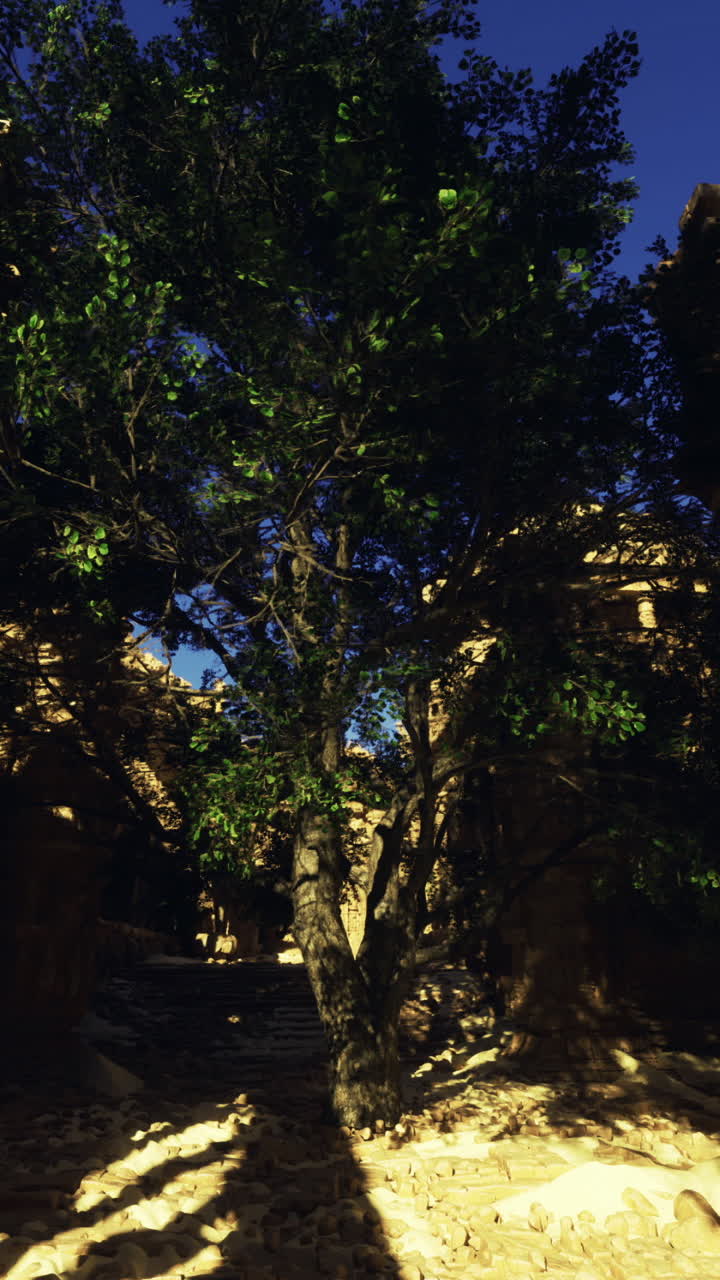 Ancient ruins surrounded by greenery in bright daylight