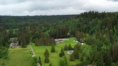 Drone-captures-the-essence-of-a-charming-Bellevue-neighborhood-from-above,-showcasing-its-tree-lined-streets-and-tranquil-suburban-living