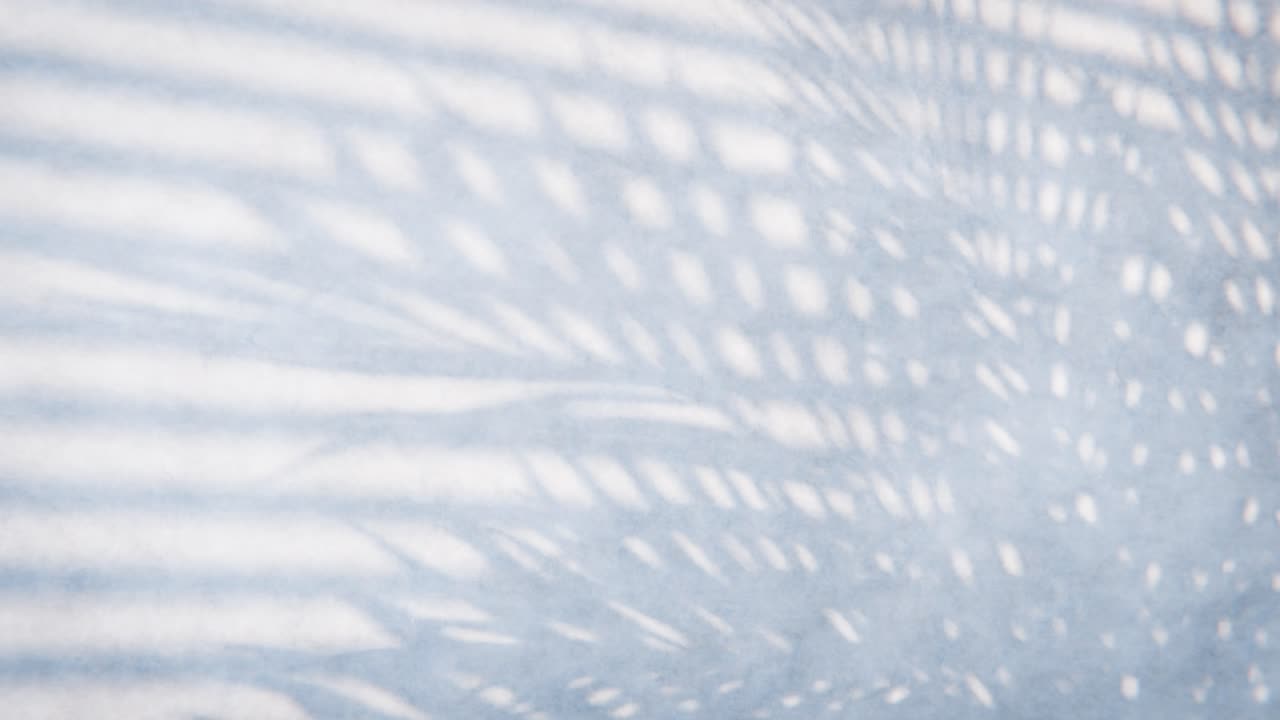Abstract Shadows of Palm Leaves Moving on Blue Wall
