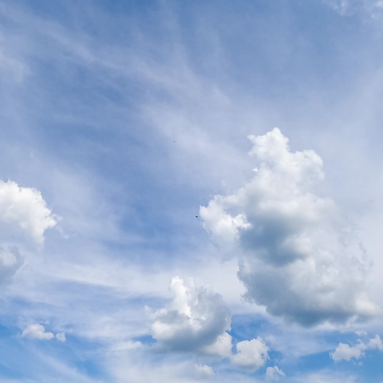 Fluffy clouds transforming at the backdrop of dense cloudscape. Cumulus clouds and spindrift clouds in the atmosphere timelapse