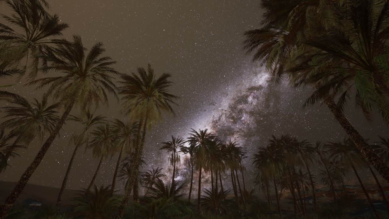 은하계 에 있는 나무