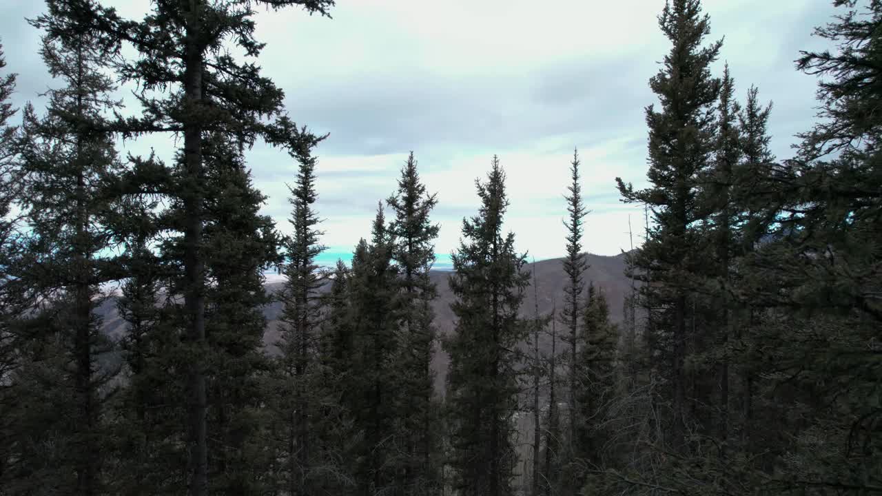 un dron salió disparado del bosque y reveló un amplio valle abierto con montañas