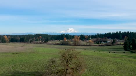 A-beautiful-crisp-fall-day-in-Washington-State