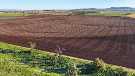 drone camera glides over expansive, freshly plowed agricultural fields bordered by scattered trees and green grass under clear daylight in the australian countryside