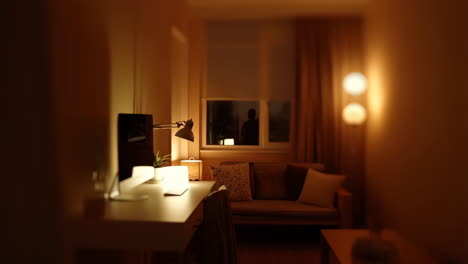 a dimly lit room with a desk, couch, and a person in the window