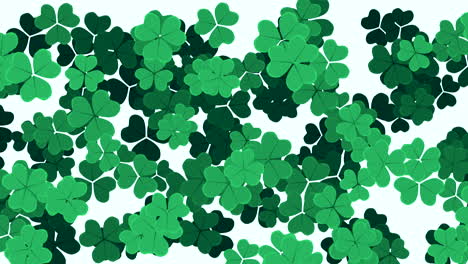 animation saint patricks day with motion green shamrocks 10