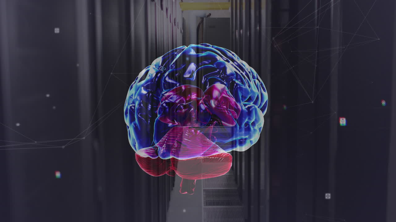 animación de la red de conexiones y cerebro sobre la sala de servidores