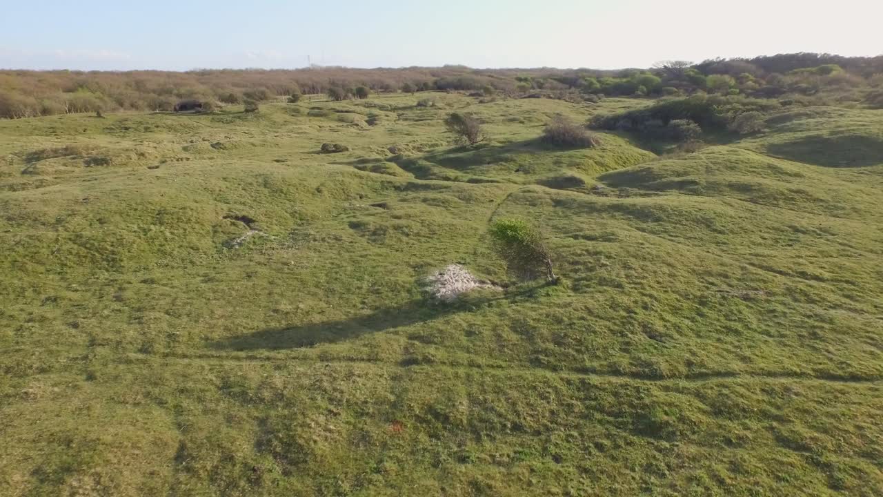 Aerial view of a green field with trees