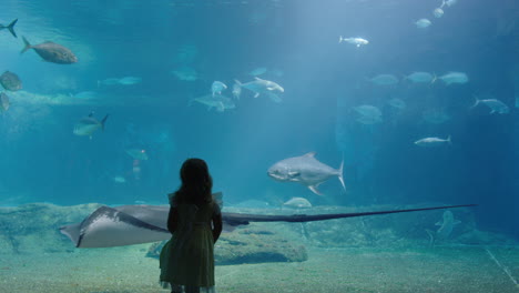 Niña-En-El-Acuario-Mirando-Mantarraya-Nadando-En-El-Tanque-Niño-Curioso-Observando-Animales-Marinos-En-El-Oceanario-Divirtiéndose-Aprendiendo-Sobre-La-Vida-Marina-En-El-Hábitat-Acuático