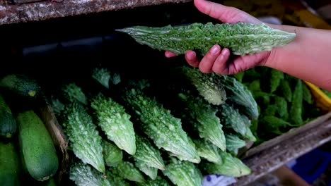 a person’s hand carefully picks up a bitter gourd from a neatly arranged display of vegetables under natural market lighting, close-up perspective