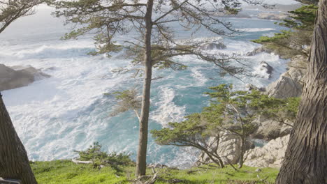 Stationary-shot-through-trees-along-a-grass-covered-hill-side-with-waves-crashing-in-the-background-located-at-Big-Sur-California-Pacific-Ocean