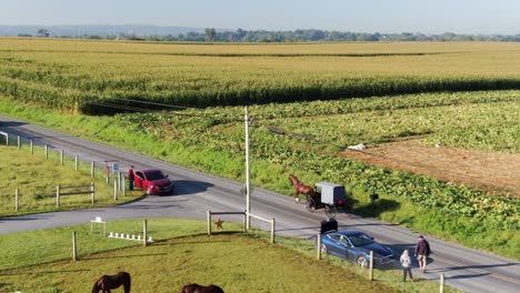 Vista-Aérea-De-Drones-De-Caballos-Amish-Y-Buggy-En-La-Carretera-En-Lancaster,-Pennsylvania,-Turistas-Irreconocibles-Observan,-Parche-De-Calabaza-Visible