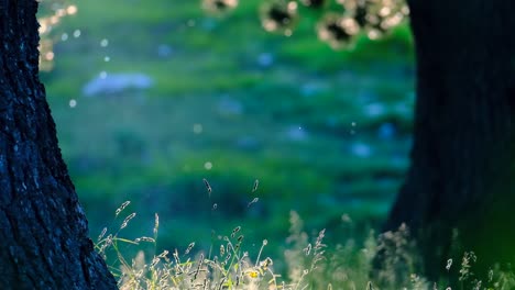 Zauberhafte-Landschaft-Im-Wald-Mit-Fliegen-Und-Pollenblättern,-Die-Von-Sonnenstrahlen-Beleuchtet-Werden,-400-M-Nahaufnahme-In-Zeitlupe