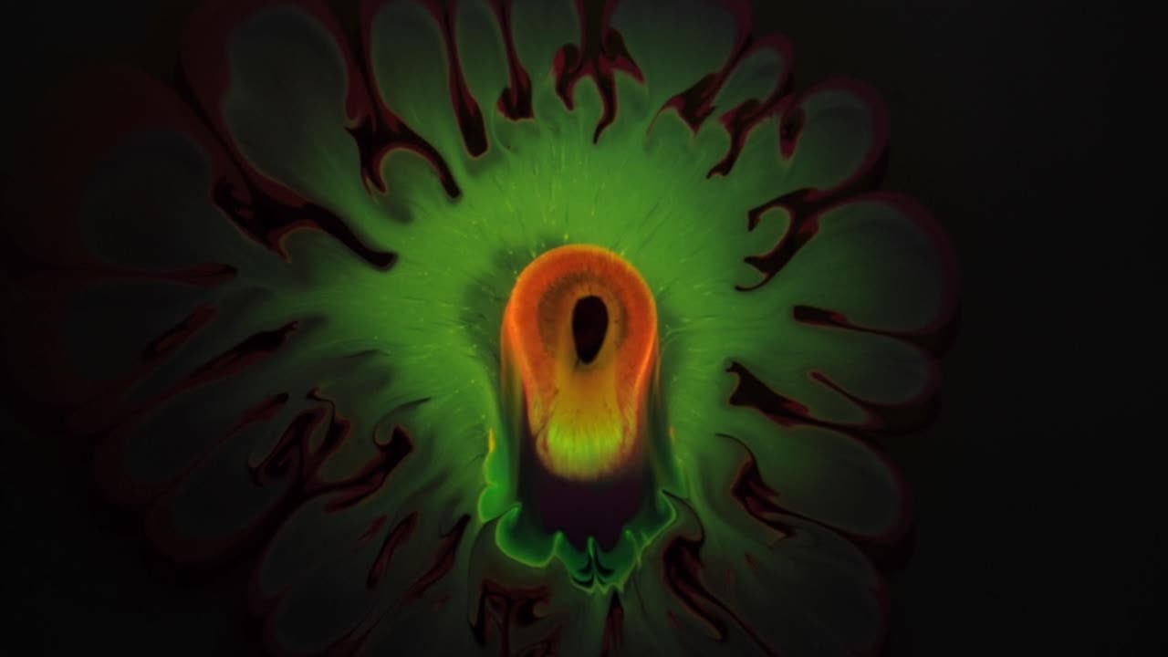 Ma caméra découvre un beau visage vert avec un œil-bouche orange (ma caméra s'échappe la nuit sans moi) - Pour en savoir plus, recherchez "AbstractVideoClip" entre guillemets.