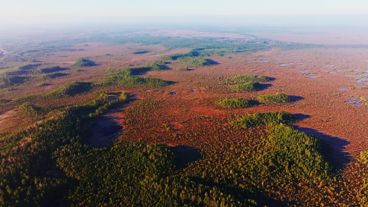 Drone moves forward above ancient dune ridges in Kemeri bog under sunrise glow