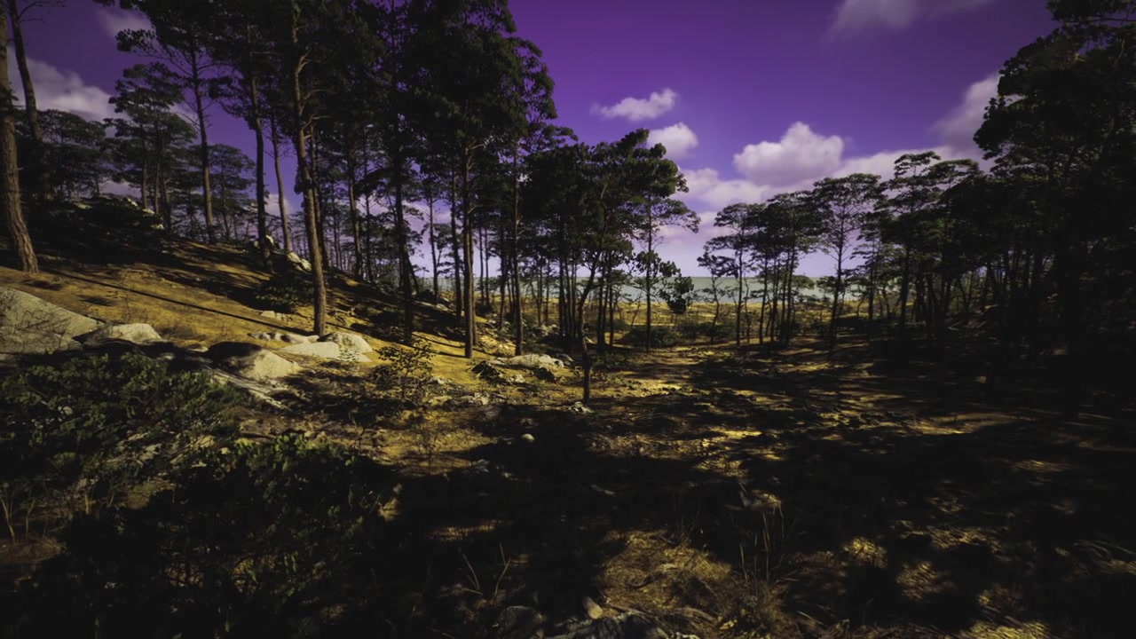 Scena serena al crepuscolo che mostra alberi alti e ombre tenui.