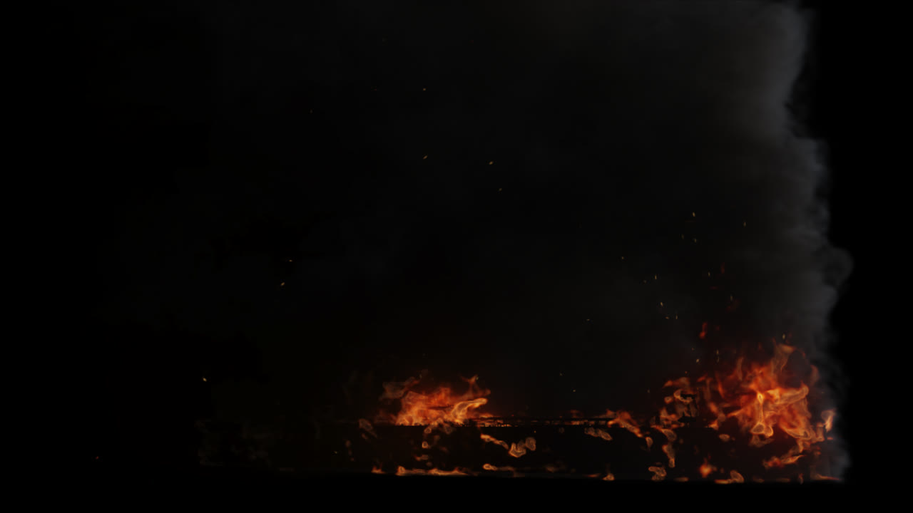 연기와 불꽃으로 불타는 나무