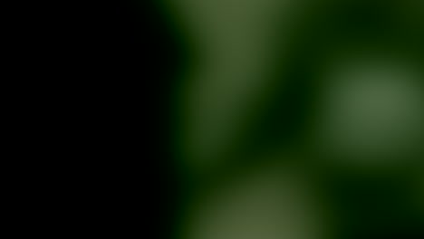 animación de una textura verde con movimiento cambiante
