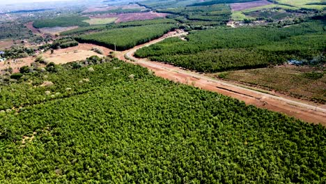 Drohnenansicht---Afrika-Wald---Afrika-Buschfeuer