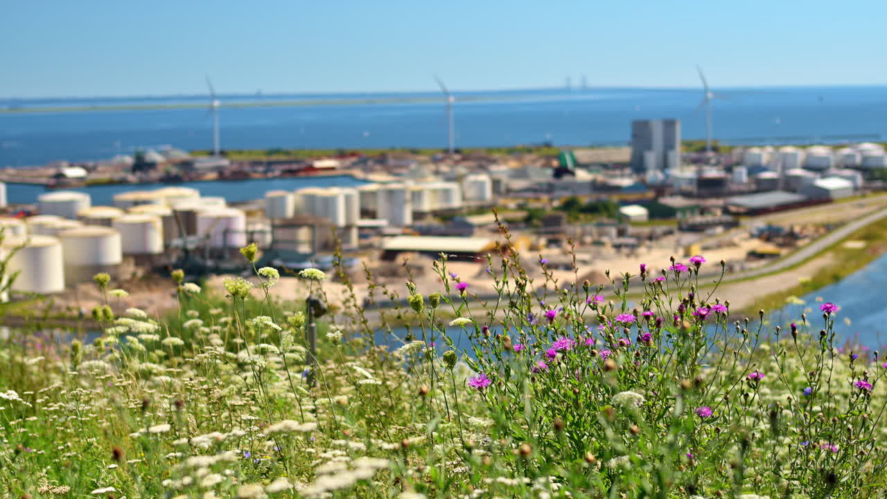 View from Copenhill in Copenhagen, Denmark in daylight