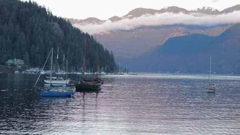 vari scatti con droni e dslr nella bellissima insenatura profonda a vancouver, bc