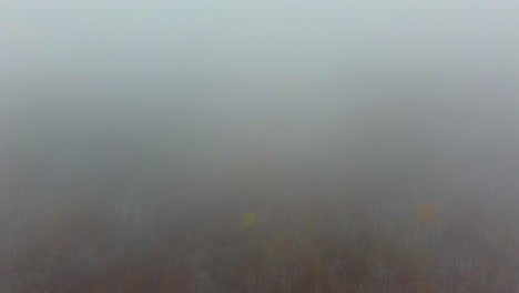 drone pullback through dense fog revealing scenic mount washington woodland landscape, usa