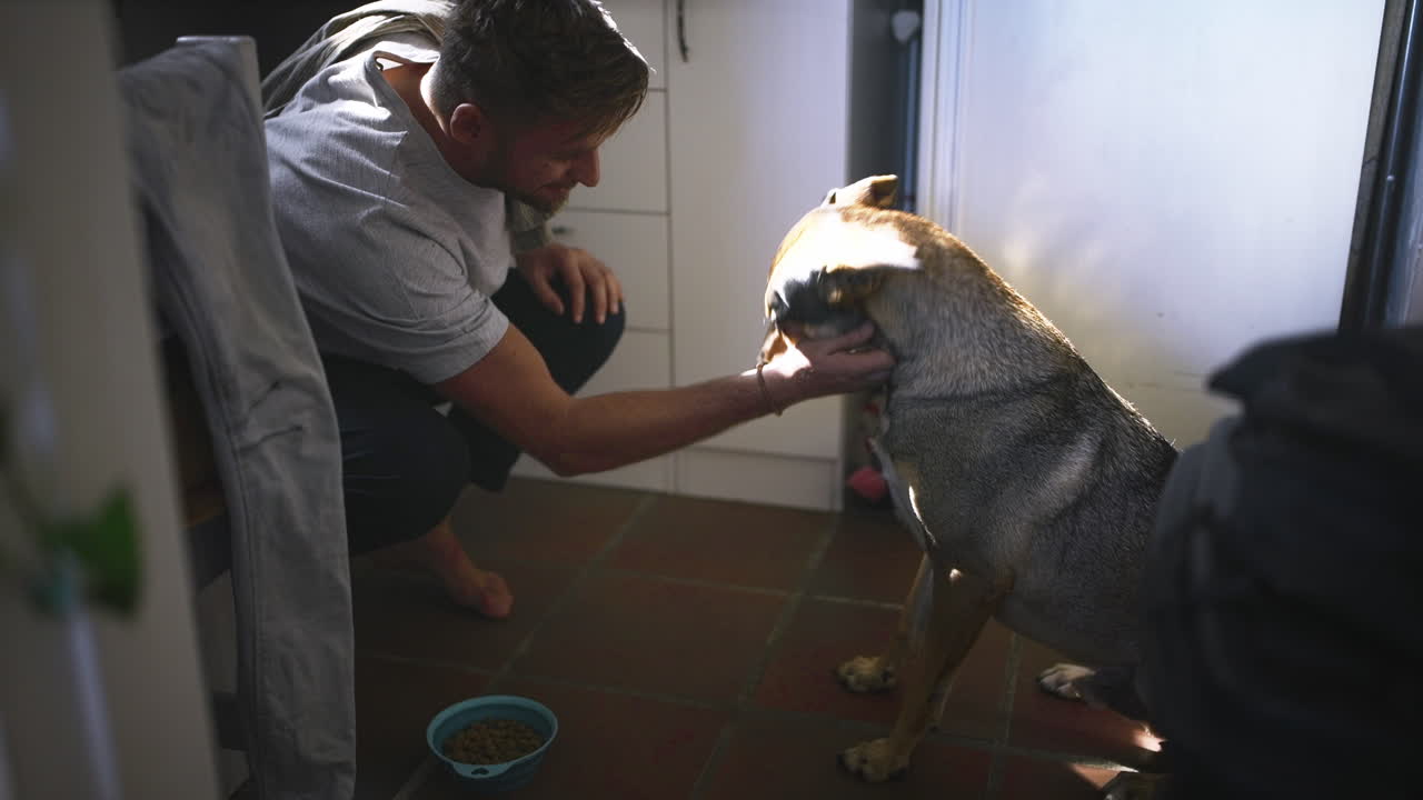 It's chow time buddy