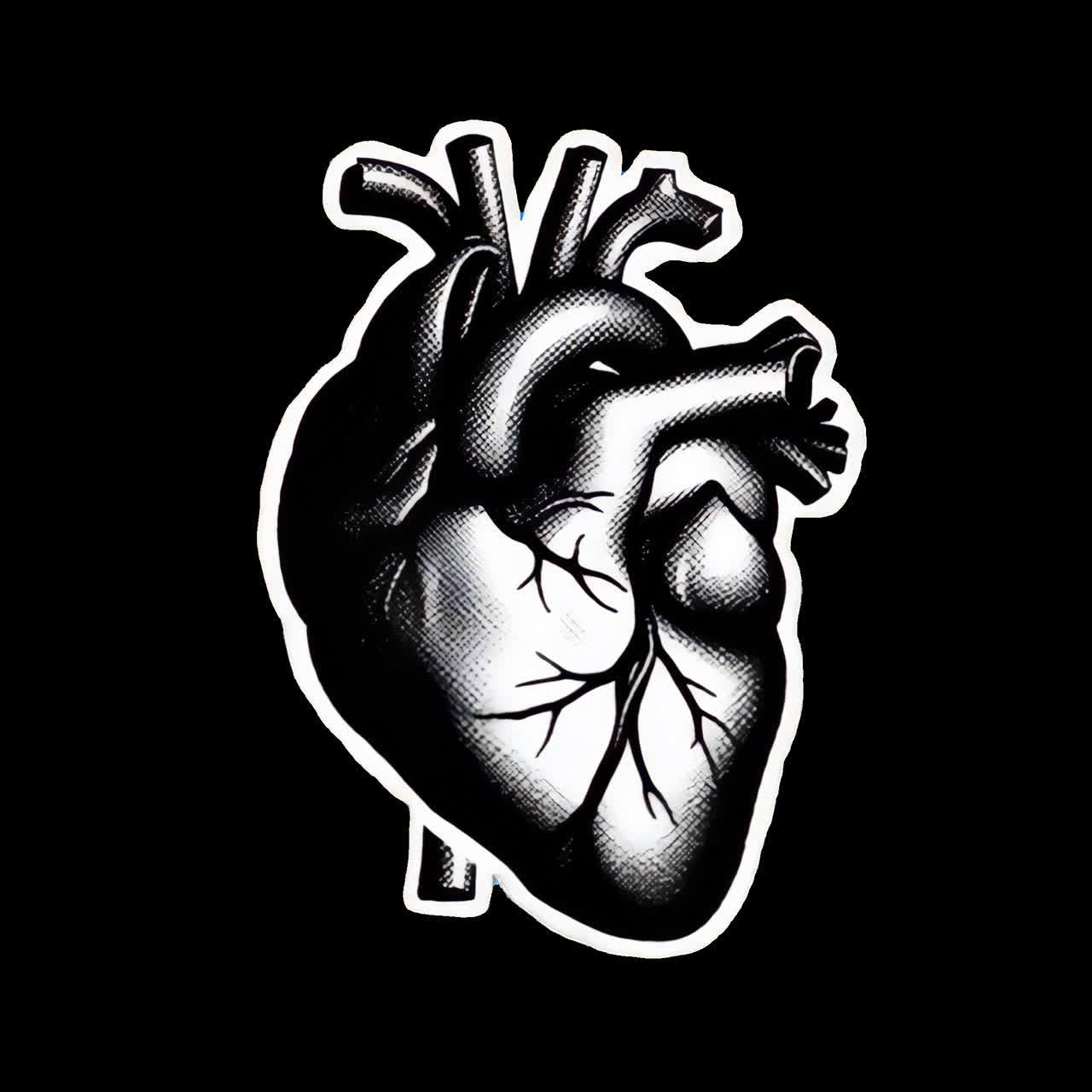 Animazione vintage di illustrazione di cuore anatomico isolata, video 4K trasparente, canale alfa