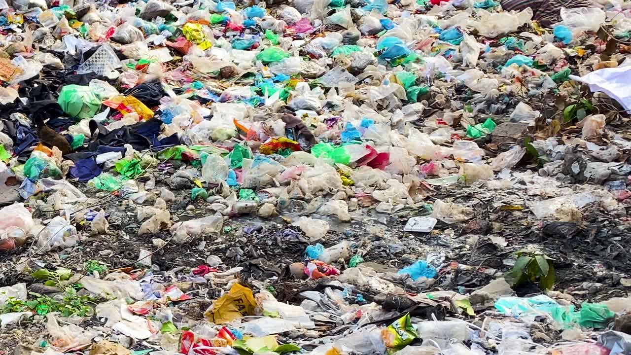 pollo picoteando en el vertedero de basura con un arroyo que fluye