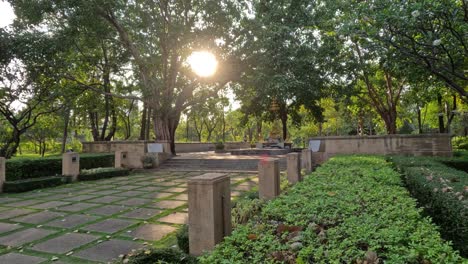 sunlight filtering through trees in a quiet park