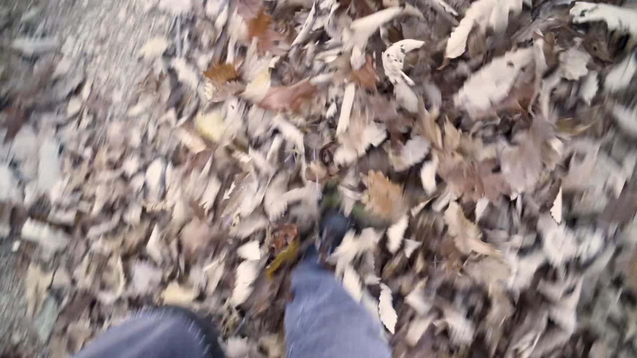 Walking through fallen leaves