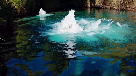 crystal-clear spring with whirlpools