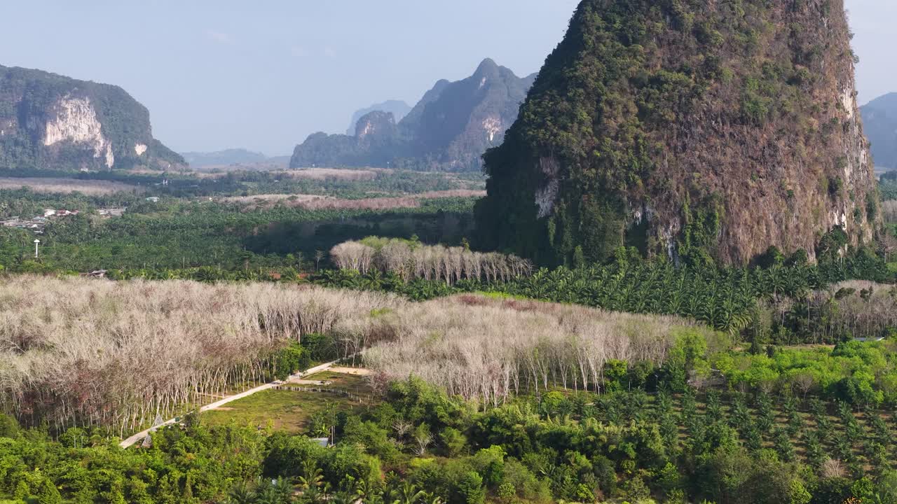 Máy quay trên không lia qua khung cảnh nhiệt đới tươi tốt với những vách đá vôi và rừng rậm dưới ánh nắng rực rỡ
