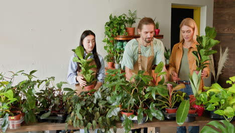 plant shop employees and customers