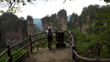 tourist admiring five fingers peak at huangshi village, zhangjiajie, china. rear shot