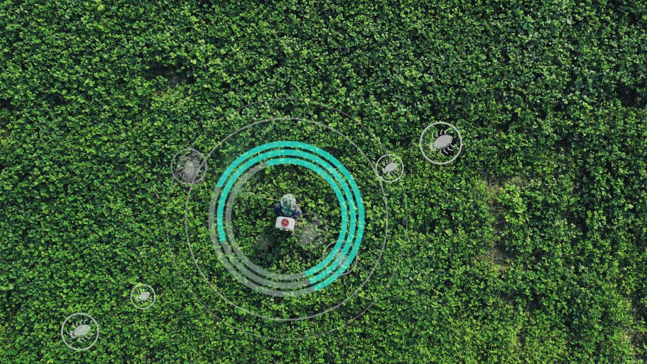 농부 들 은 모션 그래픽 을 가진 자동 스프레이 기계 를 사용 하여 몽 콩 농장 에 있는 식물 들 에 살충제 를 분사 하고 있다