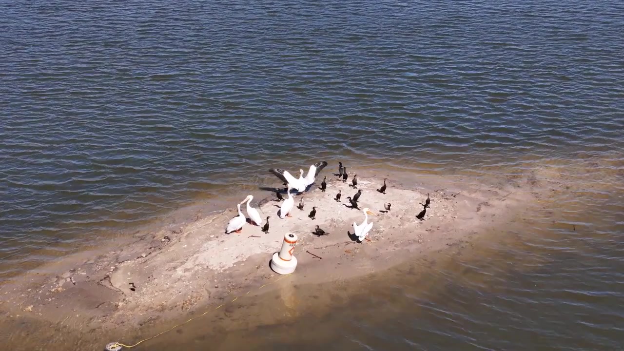 Imagem de drone de pássaros em pequena ilha arenosa no reservatório de água do Lago Silverwood na Califórnia, EUA