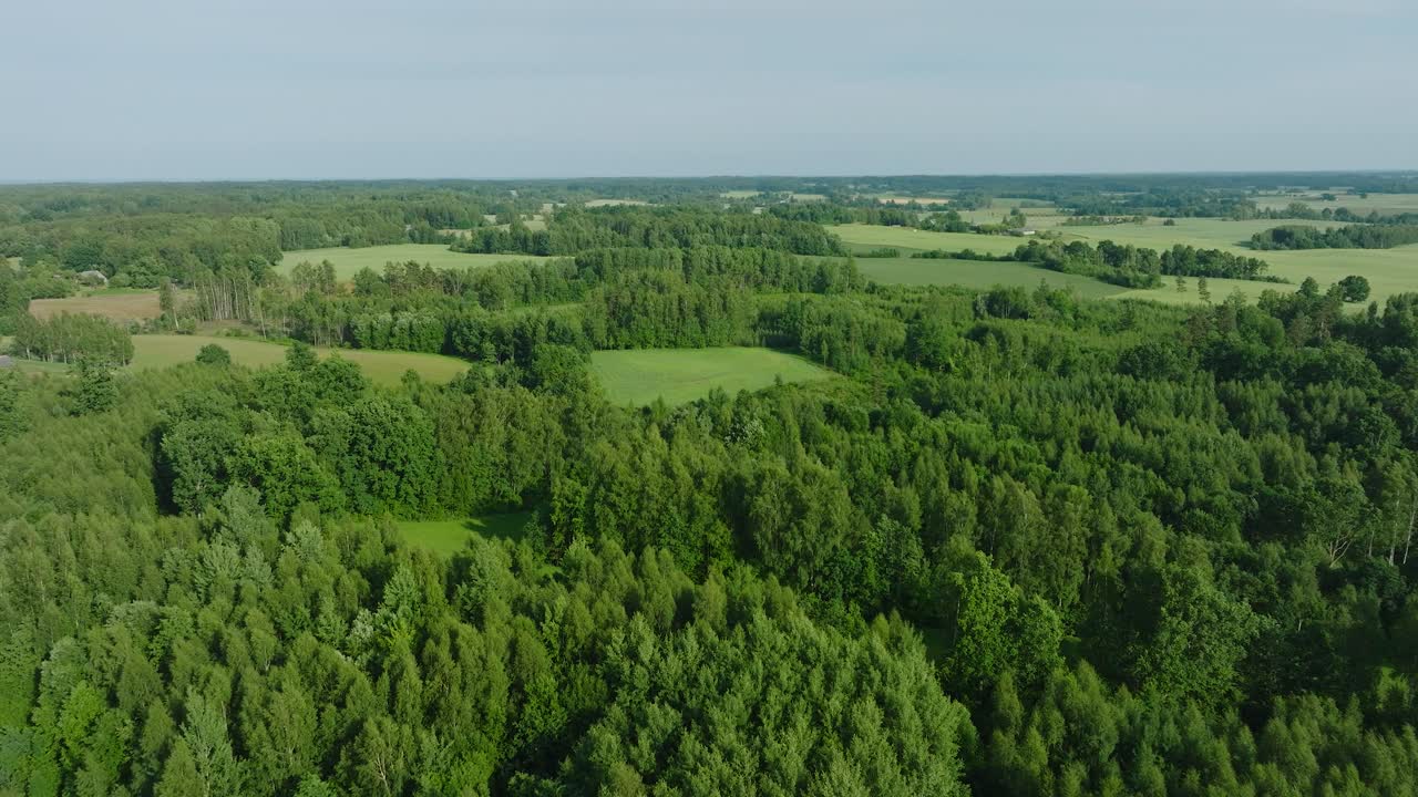 аэрофотосъемка созревающих зерновых полей на закате, органическое сельское хозяйство, сельский пейзаж, производство продовольствия, скандинавские леса, солнечный летний день, широкий снимок дрона, движущийся вперед