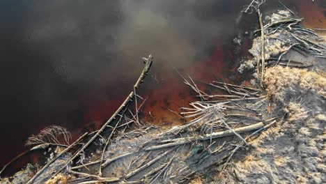 driftwood at lake shore, reflection in water, rising aerial