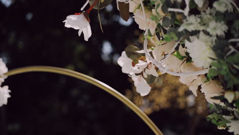 Close-up-of-white-flowers-on-golden-arch