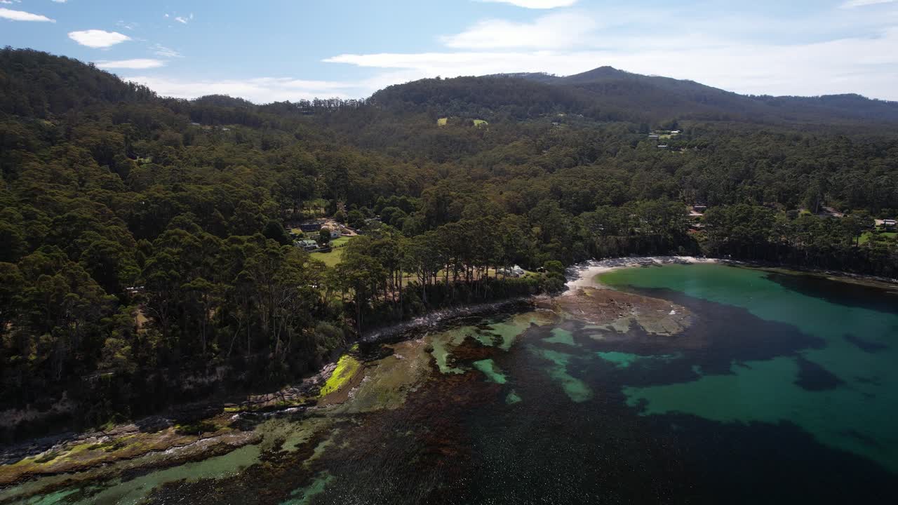 Dense Forest And Vegetation At Tasman National Park In Tasmania, Australia - Drone Shot