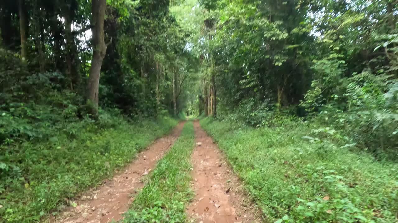 조용한 숲길을 따라 진행