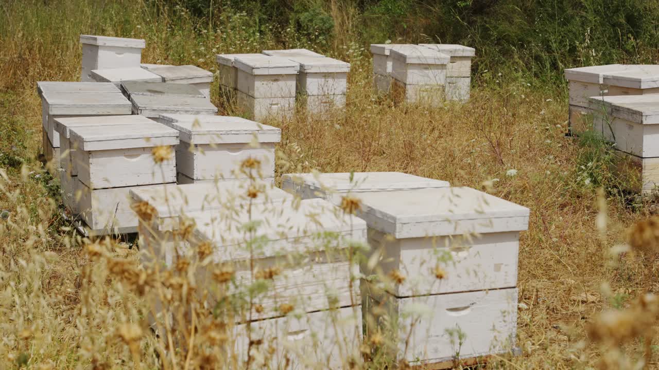 Beekeeping box hives set in open field next to farm for honey and pollination. Essential tool equipment containing a colony of bees or nest cavity with frames of comb for honey making. Brood chambers