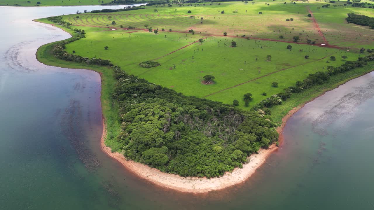 Vibrant aerial shot of a forested peninsula jutting into a massive reservoir in Mato Grosso do Sul, Brazil. Lush green farmland stretches across the land under bright, sunny conditions